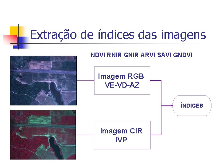 Extração de índices das imagens NDVI RNIR GNIR ARVI SAVI GNDVI Imagem RGB VE-VD-AZ