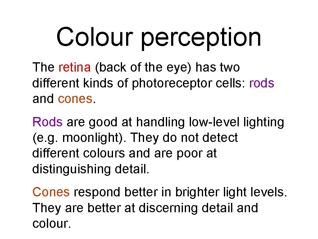 Colour perception The retina (back of the eye) has two different kinds of photoreceptor Colour perception The retina (back of the eye) has two different kinds of photoreceptor