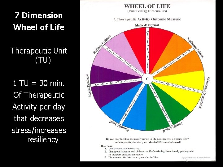 7 Dimension Wheel of Life Therapeutic Unit (TU) 1 TU = 30 min. Of