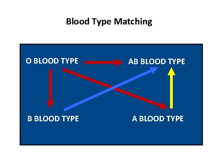 Blood Type Matching O BLOOD TYPE AB BLOOD TYPE A BLOOD TYPE 