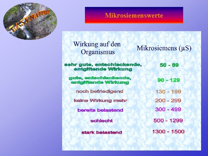 Mikrosiemenswerte 