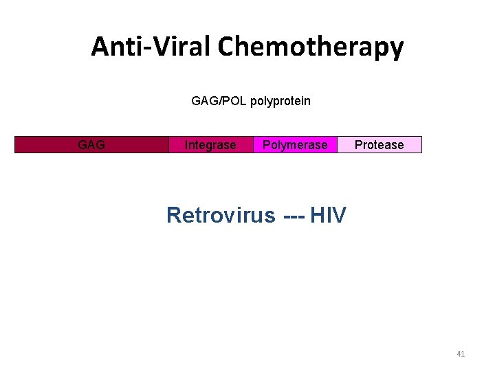 Anti-Viral Chemotherapy GAG/POL polyprotein GAG Integrase Polymerase Protease Retrovirus --- HIV 41 
