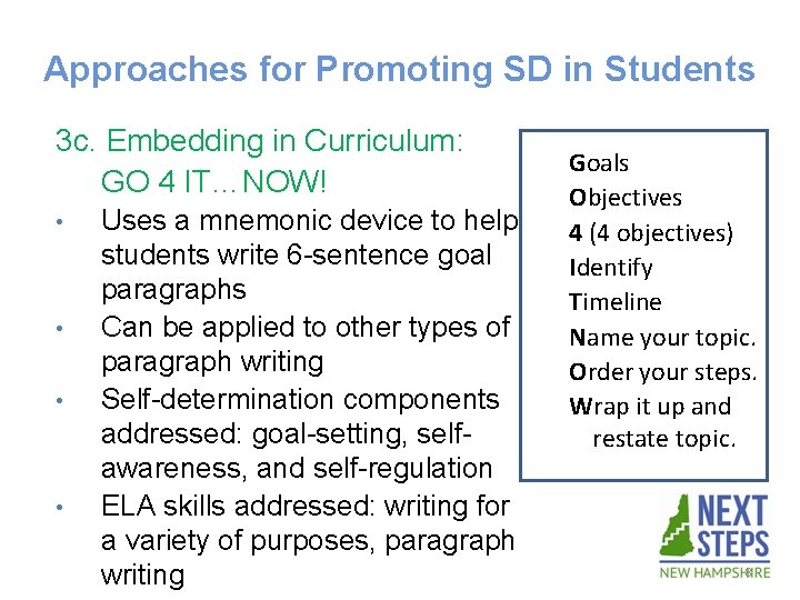 Approaches for Promoting SD in Students 3 c. Embedding in Curriculum: GO 4 IT…NOW!