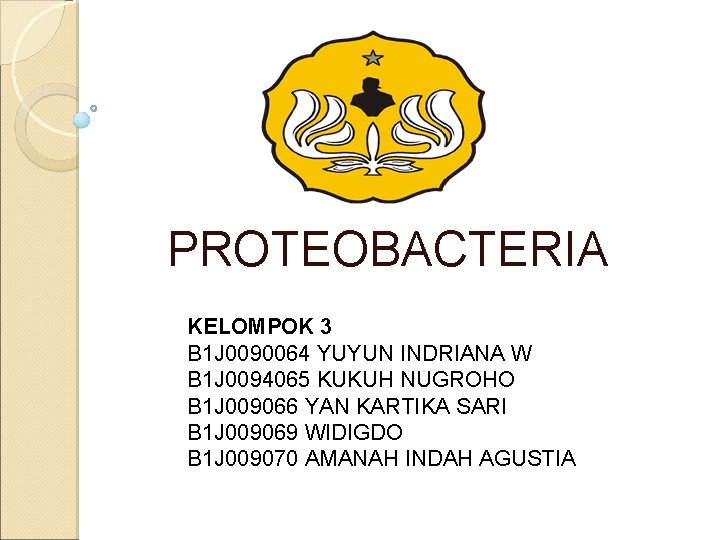 PROTEOBACTERIA KELOMPOK 3 B 1 J 0090064 YUYUN INDRIANA W B 1 J 0094065