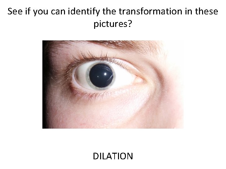 See if you can identify the transformation in these pictures? DILATION See if you can identify the transformation in these pictures? DILATION