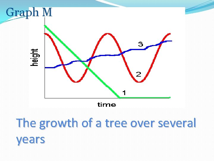 Graph M The growth of a tree over several years 