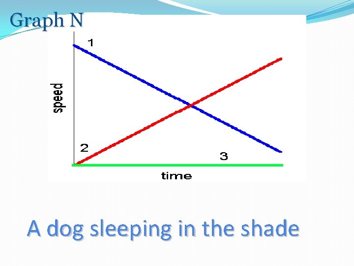 Graph N A dog sleeping in the shade 