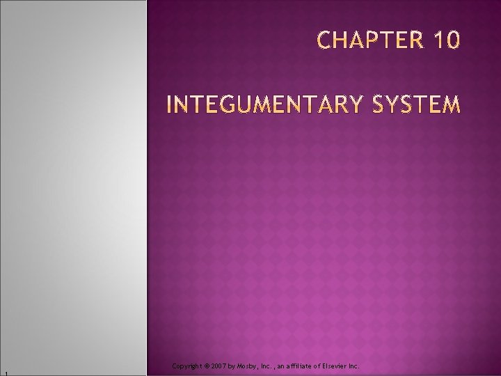 Copyright © 2007 by Mosby, Inc. , an affiliate of Elsevier Inc. 