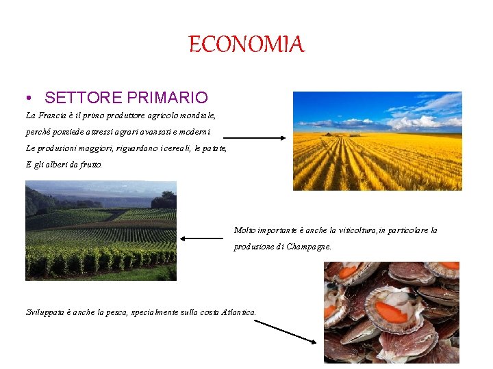 ECONOMIA • SETTORE PRIMARIO La Francia è il primo produttore agricolo mondiale, perché possiede