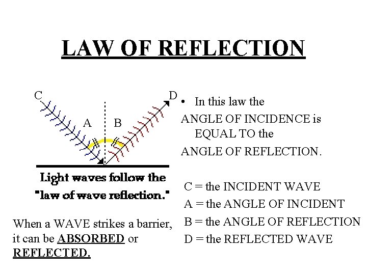 LAW OF REFLECTION C A B D • In this law the ANGLE OF