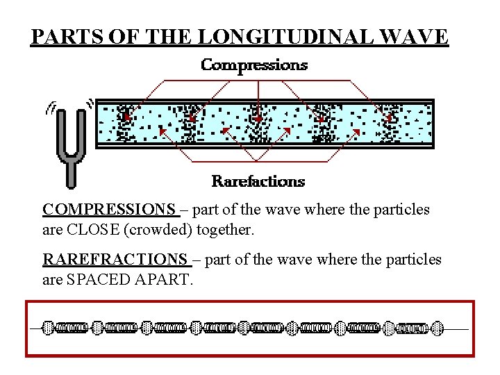 PARTS OF THE LONGITUDINAL WAVE COMPRESSIONS – part of the wave where the particles