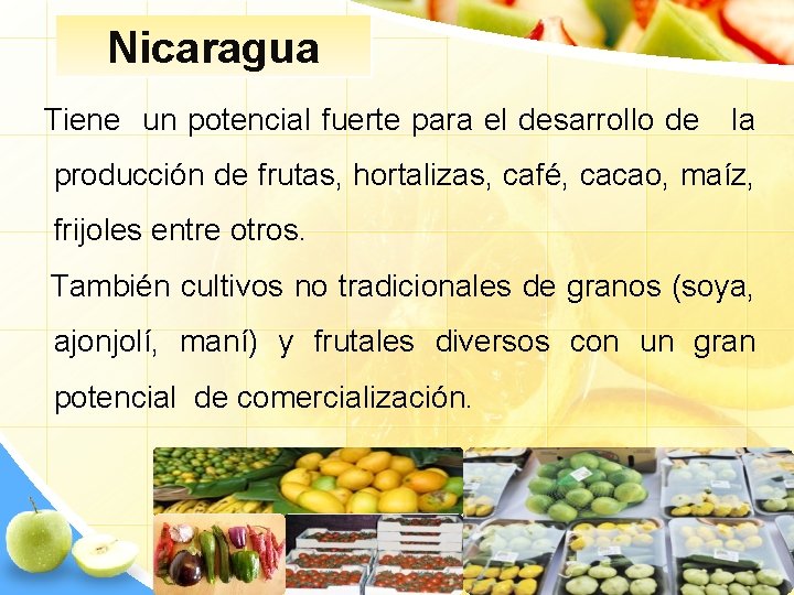 Nicaragua Tiene un potencial fuerte para el desarrollo de la producción de frutas, hortalizas,