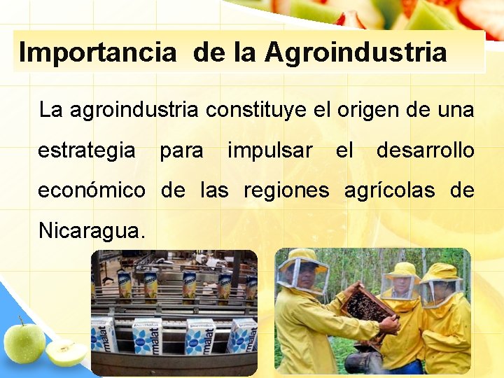 Importancia de la Agroindustria La agroindustria constituye el origen de una estrategia para impulsar