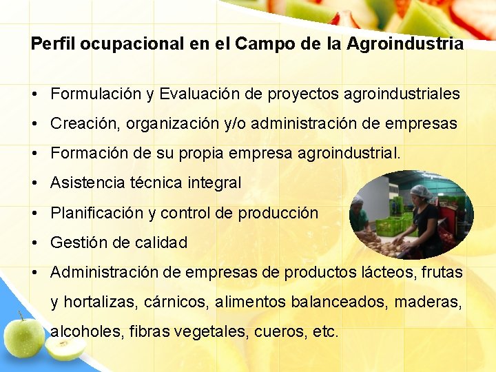Perfil ocupacional en el Campo de la Agroindustria • Formulación y Evaluación de proyectos