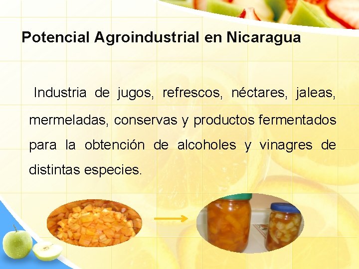 Potencial Agroindustrial en Nicaragua Industria de jugos, refrescos, néctares, jaleas, mermeladas, conservas y productos