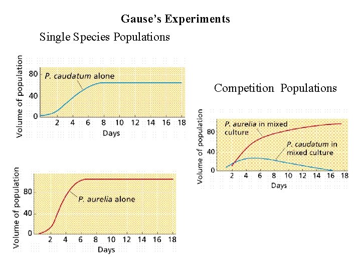 Gause’s Experiments Single Species Populations Competition Populations 
