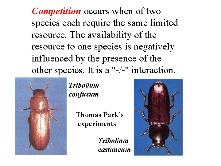 Competition occurs when of two species each require the same limited resource. The availability