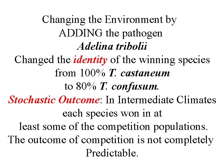 Changing the Environment by ADDING the pathogen Adelina tribolii Changed the identity of the