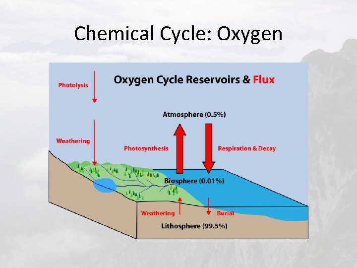 Chemical Cycle: Oxygen 