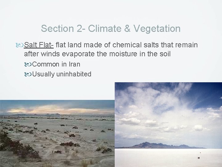 Section 2 - Climate & Vegetation Salt Flat- flat land made of chemical salts