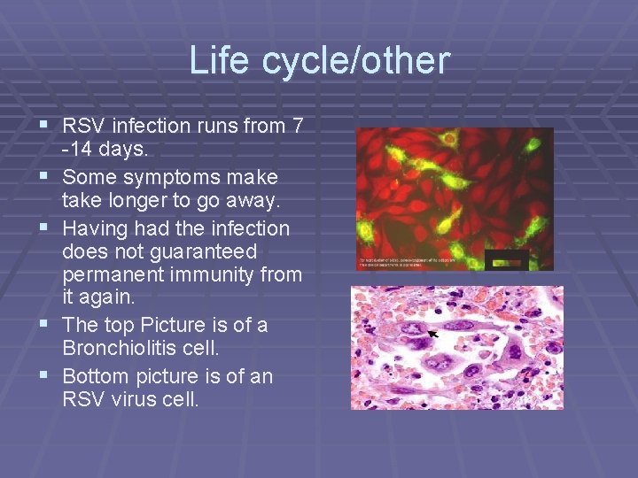 Life cycle/other § RSV infection runs from 7 § § -14 days. Some symptoms Life cycle/other § RSV infection runs from 7 § § -14 days. Some symptoms