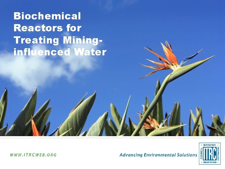 Biochemical Reactors for Treating Mininginfluenced Water 