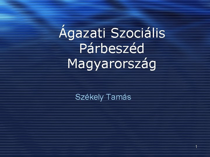 Ágazati Szociális Párbeszéd Magyarország Székely Tamás 1 