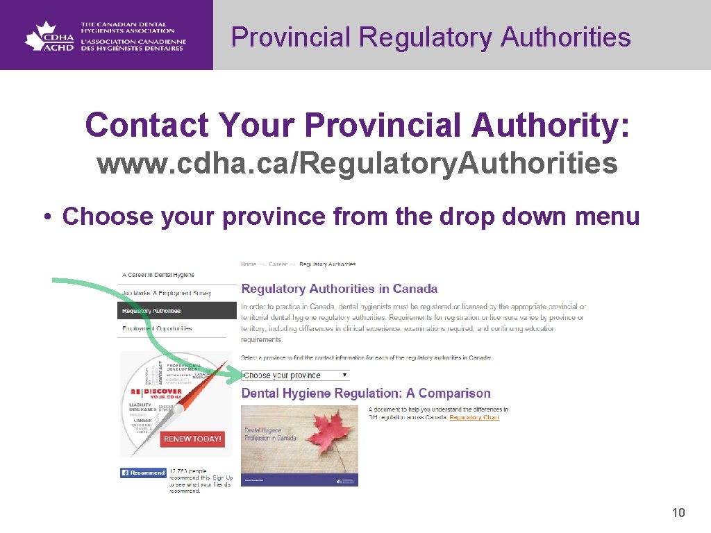 Provincial Regulatory Authorities Contact Your Provincial Authority: www. cdha. ca/Regulatory. Authorities • Choose your