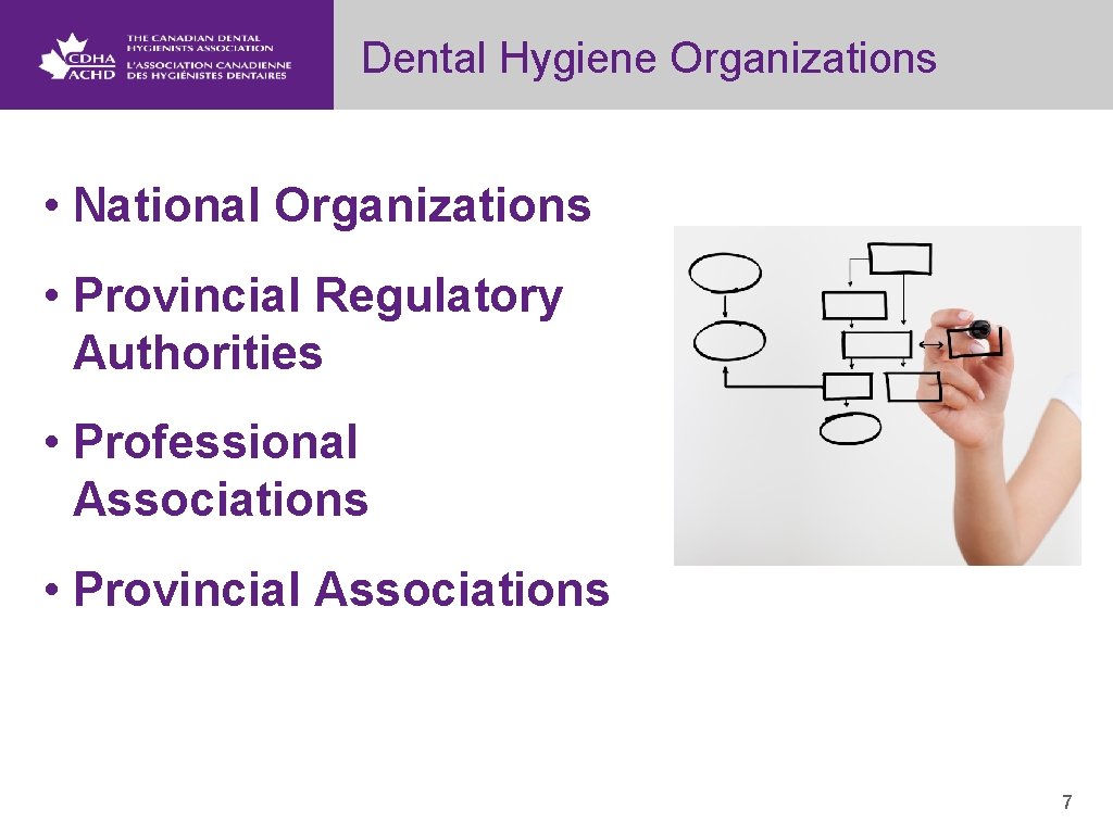 Dental Hygiene Organizations • National Organizations • Provincial Regulatory Authorities • Professional Associations •