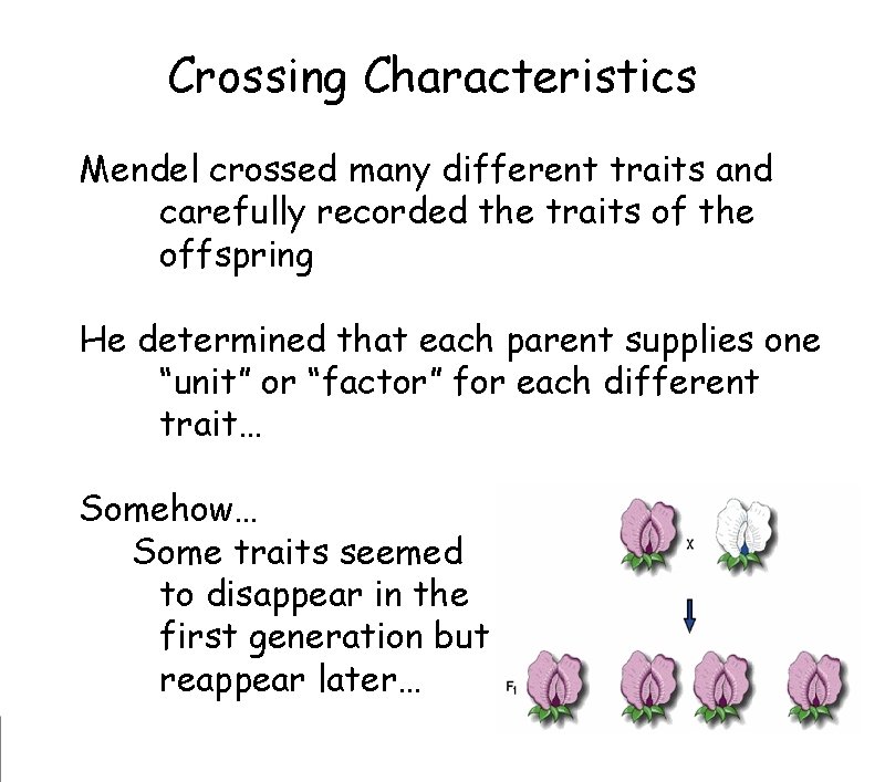 Crossing Characteristics Mendel crossed many different traits and
carefully recorded the traits of Crossing Characteristics Mendel crossed many different traits and
carefully recorded the traits of