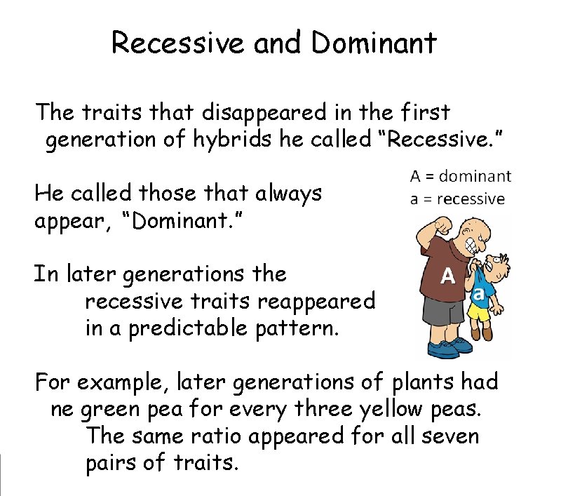 Recessive and Dominant The traits that disappeared in the first
generation of hybrids he Recessive and Dominant The traits that disappeared in the first
generation of hybrids he