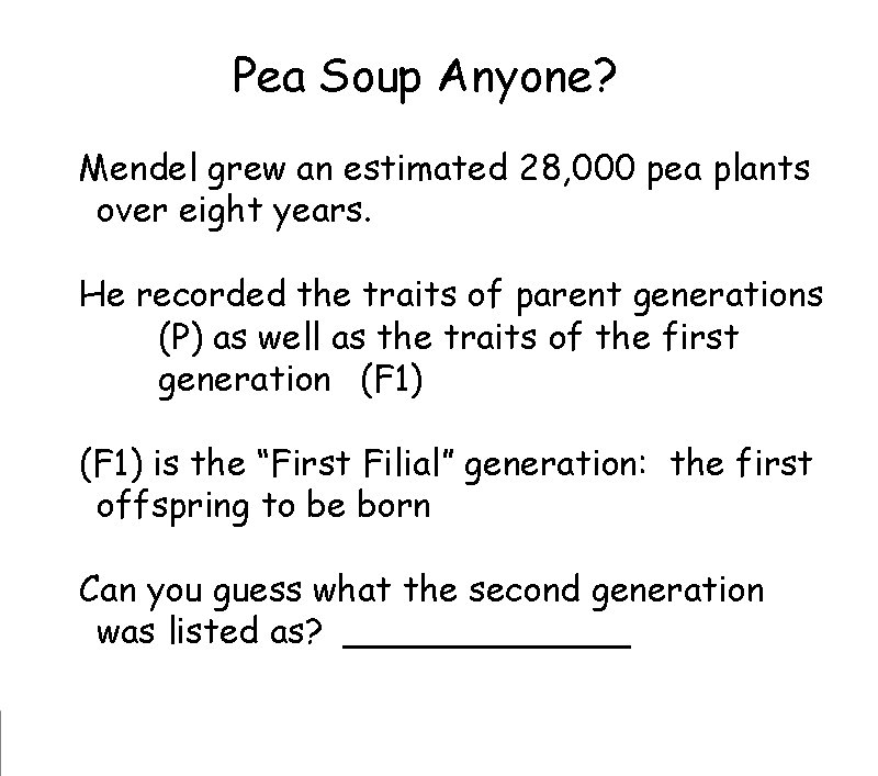 Pea Soup Anyone? Mendel grew an estimated 28, 000 pea plants
over eight years. Pea Soup Anyone? Mendel grew an estimated 28, 000 pea plants
over eight years.