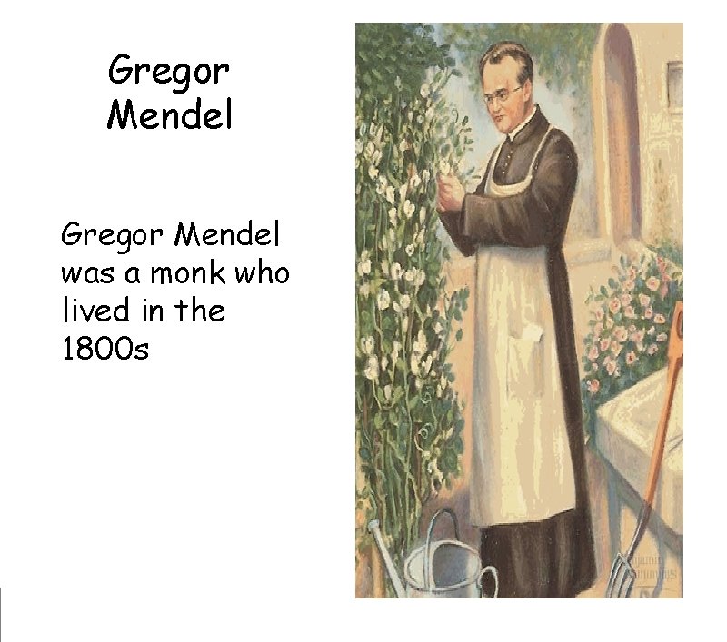 Gregor Mendel was a monk who lived in the 1800 s Gregor Mendel was a monk who lived in the 1800 s