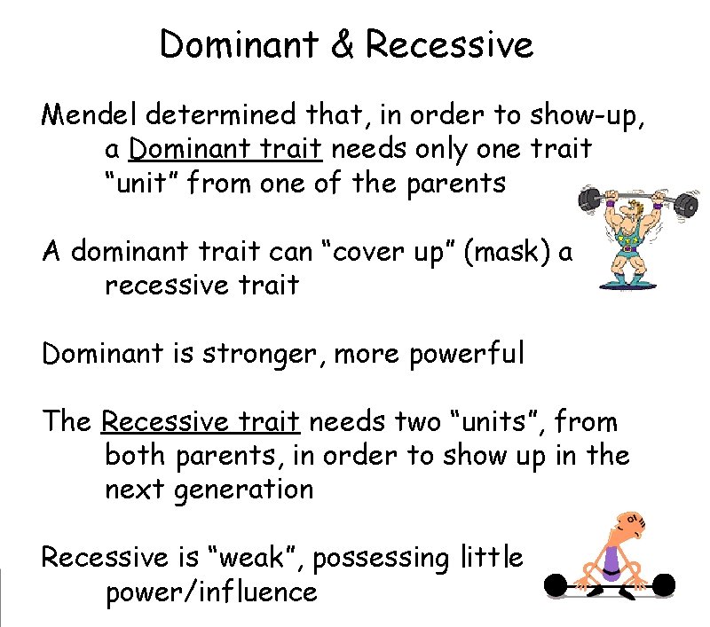 Dominant & Recessive Mendel determined that, in order to show-up,
a Dominant trait Dominant & Recessive Mendel determined that, in order to show-up,
a Dominant trait