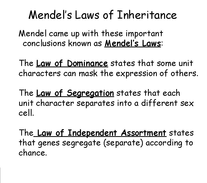 Mendel’s Laws of Inheritance Mendel came up with these important
conclusions known as Mendel’s Mendel’s Laws of Inheritance Mendel came up with these important
conclusions known as Mendel’s