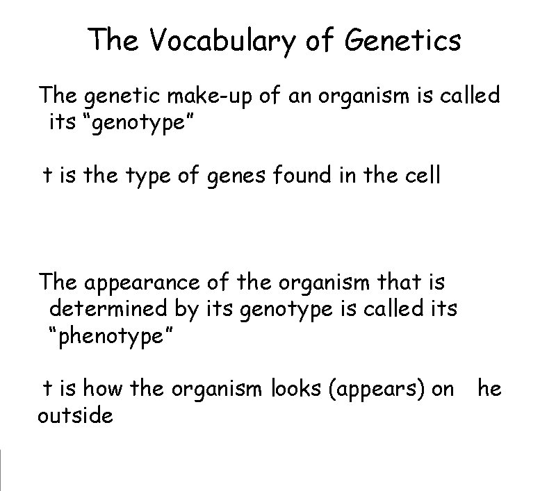 The Vocabulary of Genetics The genetic make-up of an organism is called
its “genotype” The Vocabulary of Genetics The genetic make-up of an organism is called
its “genotype”