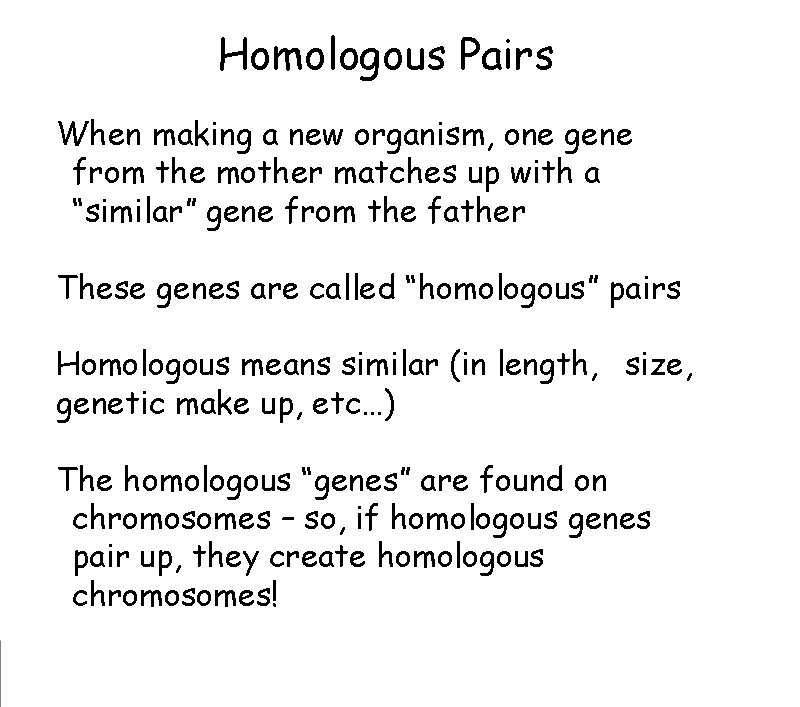 Homologous Pairs When making a new organism, one gene
from the mother matches up Homologous Pairs When making a new organism, one gene
from the mother matches up