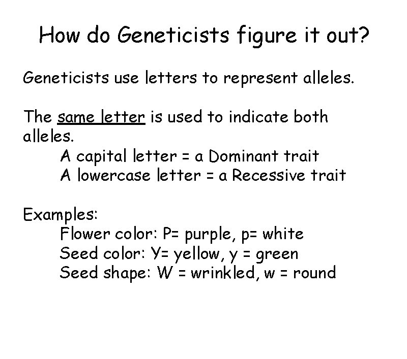 How do Geneticists figure it out? Geneticists use letters to represent alleles. The same How do Geneticists figure it out? Geneticists use letters to represent alleles. The same