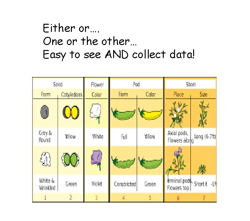 Either or…. One or the other… Easy to see AND collect data! Either or…. One or the other… Easy to see AND collect data!