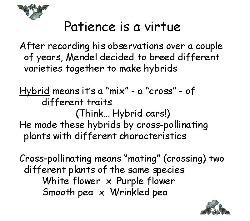 Patience is a virtue After recording his observations over a couple
of years, Mendel Patience is a virtue After recording his observations over a couple
of years, Mendel
