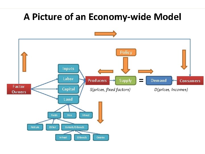 A Picture of an Economy-wide Model Policy Inputs Labor Factor Owners Producers Capital S(prices,