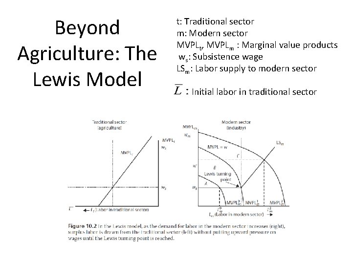 Beyond Agriculture: The Lewis Model t: Traditional sector m: Modern sector MVPLt, MVPLm :