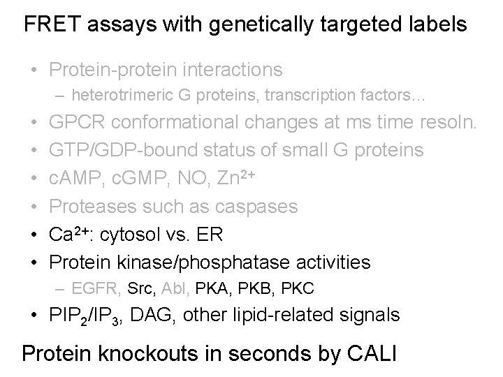 FRET assays with genetically targeted labels • Protein-protein interactions – heterotrimeric G proteins, transcription