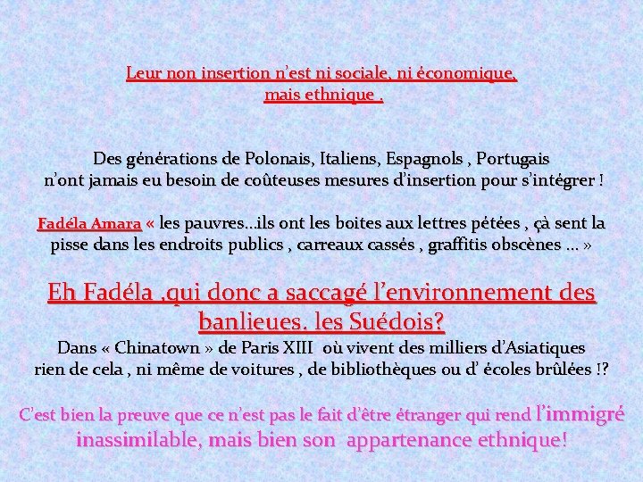 Leur non insertion n’est ni sociale, ni économique, mais ethnique. Des générations de Polonais,