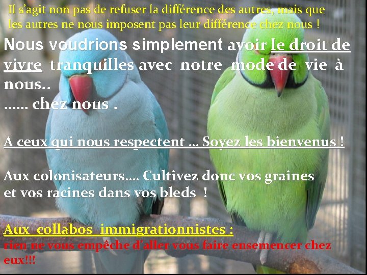  Il s’agit non pas de refuser la différence des autres, mais que les