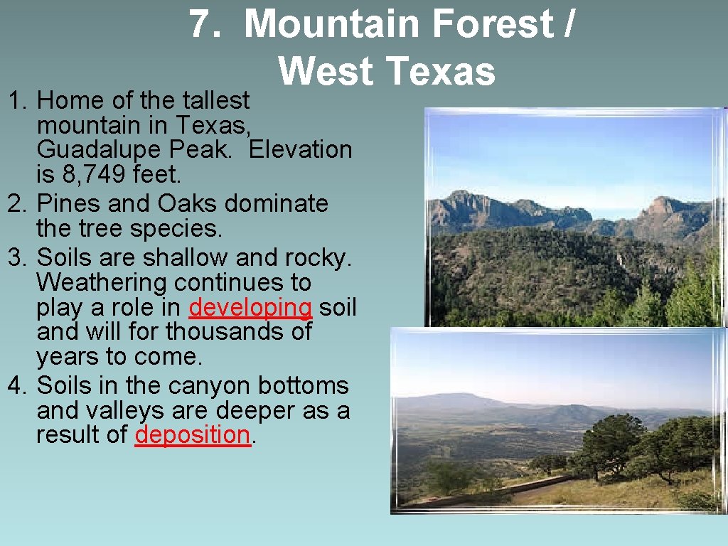 7. Mountain Forest / West Texas 1. Home of the tallest mountain in Texas,