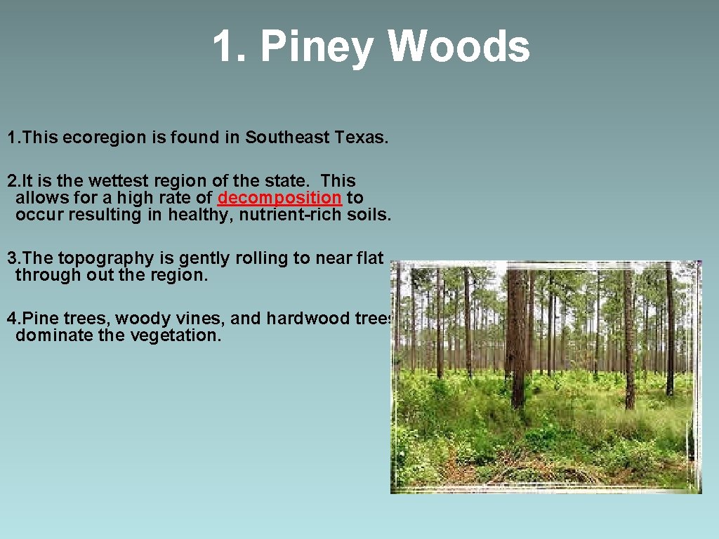 1. Piney Woods 1. This ecoregion is found in Southeast Texas. 2. It is