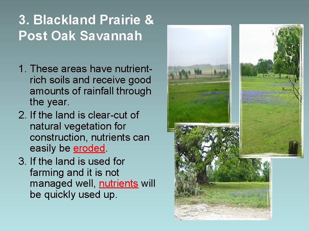 3. Blackland Prairie & Post Oak Savannah 1. These areas have nutrientrich soils and