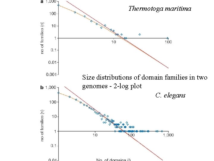 Thermotoga maritima Size distributions of domain families in two genomes - 2 -log plot