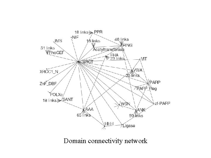 Domain connectivity network 